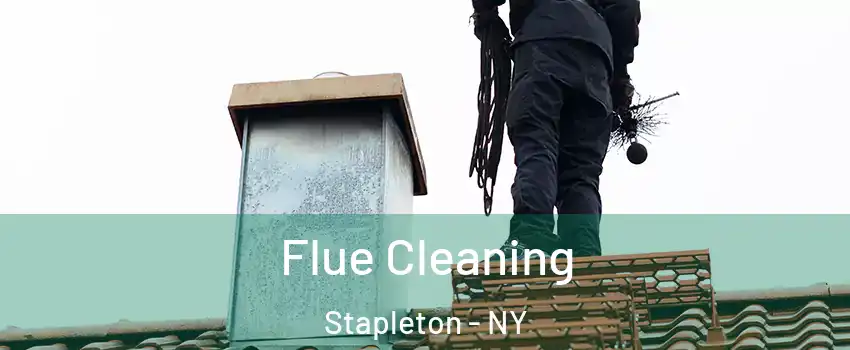 Flue Cleaning Stapleton - NY