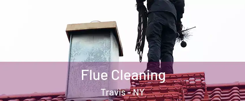 Flue Cleaning Travis - NY