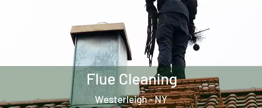 Flue Cleaning Westerleigh - NY