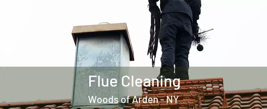 Flue Cleaning Woods of Arden - NY