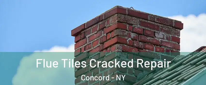 Flue Tiles Cracked Repair Concord - NY