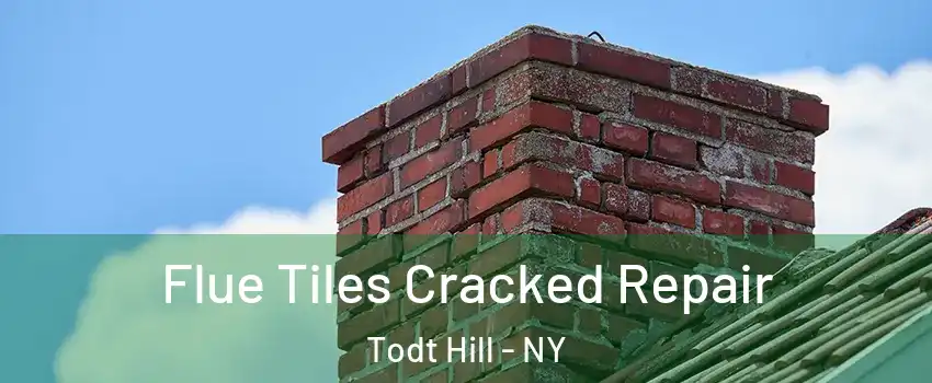 Flue Tiles Cracked Repair Todt Hill - NY