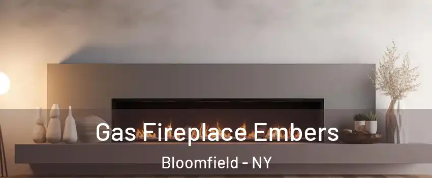 Gas Fireplace Embers Bloomfield - NY