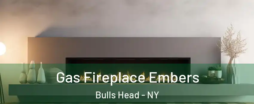 Gas Fireplace Embers Bulls Head - NY