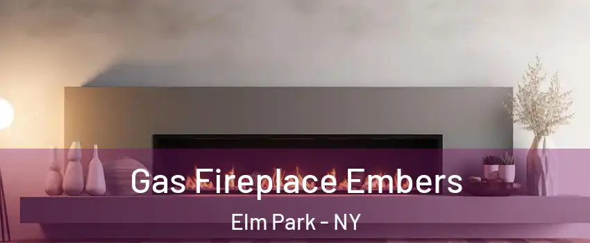 Gas Fireplace Embers Elm Park - NY