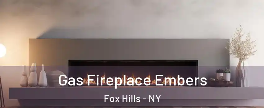 Gas Fireplace Embers Fox Hills - NY