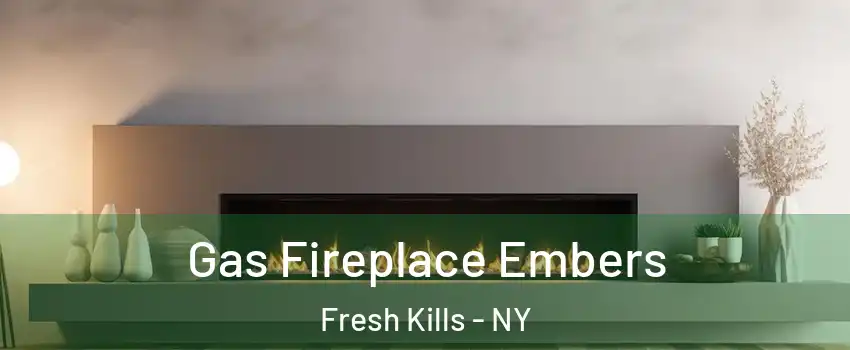 Gas Fireplace Embers Fresh Kills - NY