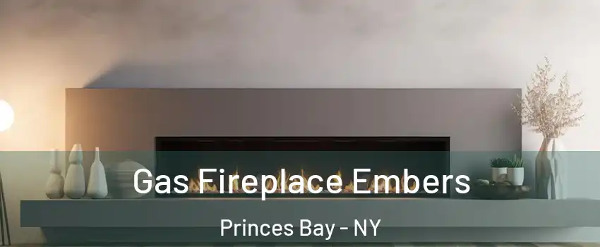 Gas Fireplace Embers Princes Bay - NY