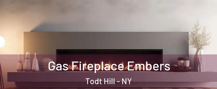 Gas Fireplace Embers Todt Hill - NY