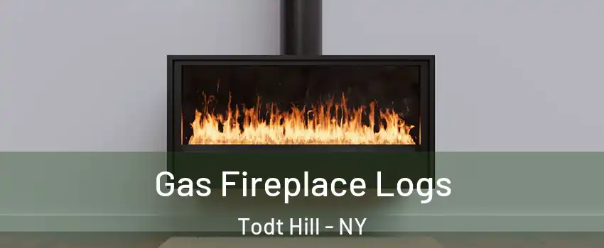 Gas Fireplace Logs Todt Hill - NY