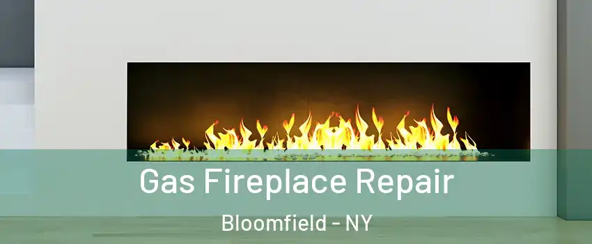 Gas Fireplace Repair Bloomfield - NY