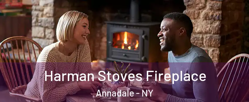 Harman Stoves Fireplace Annadale - NY