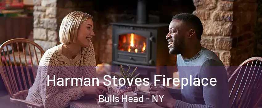 Harman Stoves Fireplace Bulls Head - NY