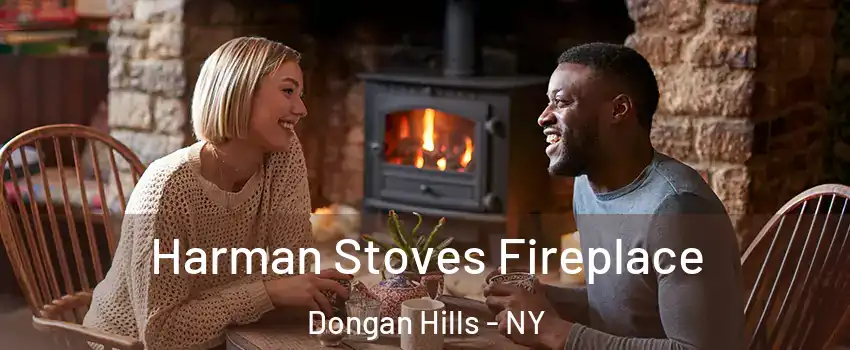 Harman Stoves Fireplace Dongan Hills - NY