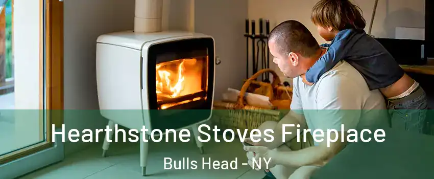 Hearthstone Stoves Fireplace Bulls Head - NY