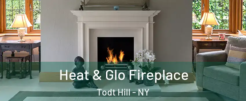 Heat & Glo Fireplace Todt Hill - NY