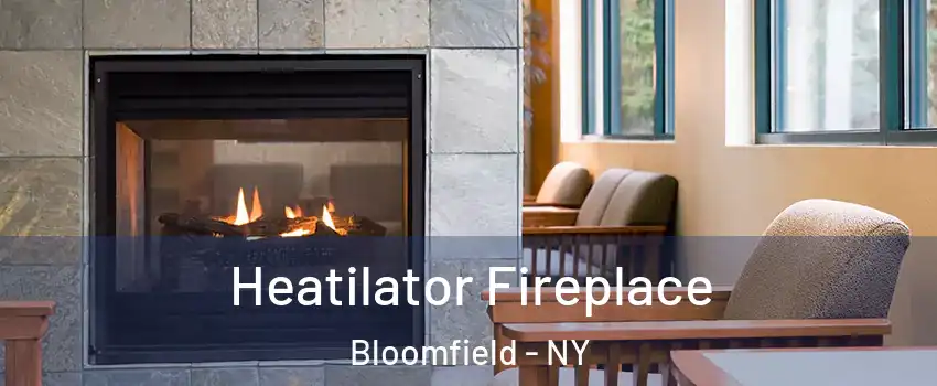 Heatilator Fireplace Bloomfield - NY