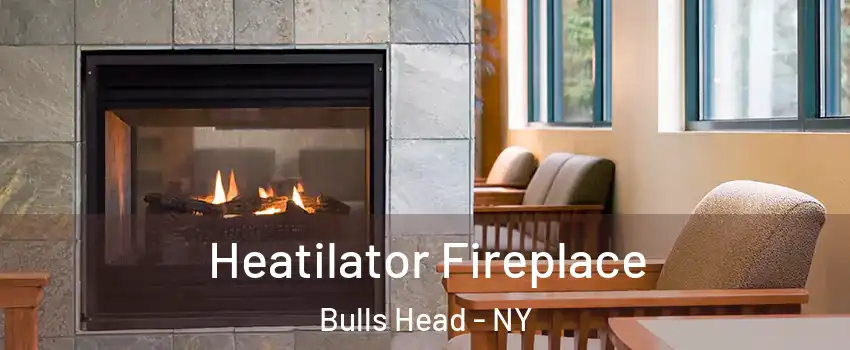 Heatilator Fireplace Bulls Head - NY