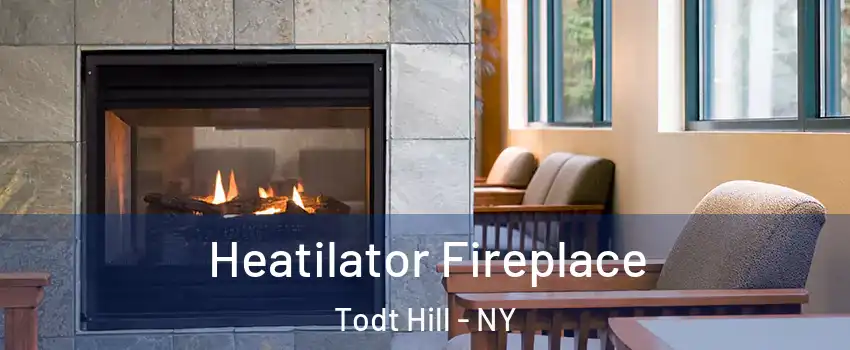 Heatilator Fireplace Todt Hill - NY