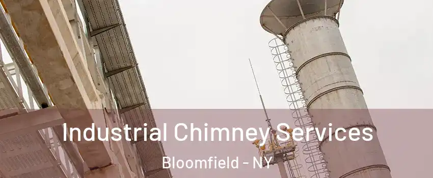 Industrial Chimney Services Bloomfield - NY