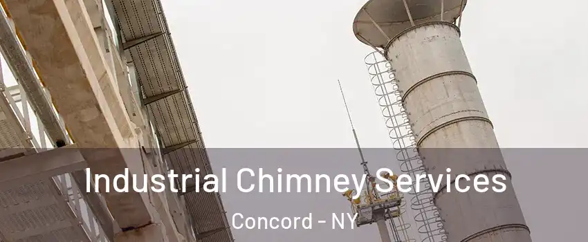 Industrial Chimney Services Concord - NY