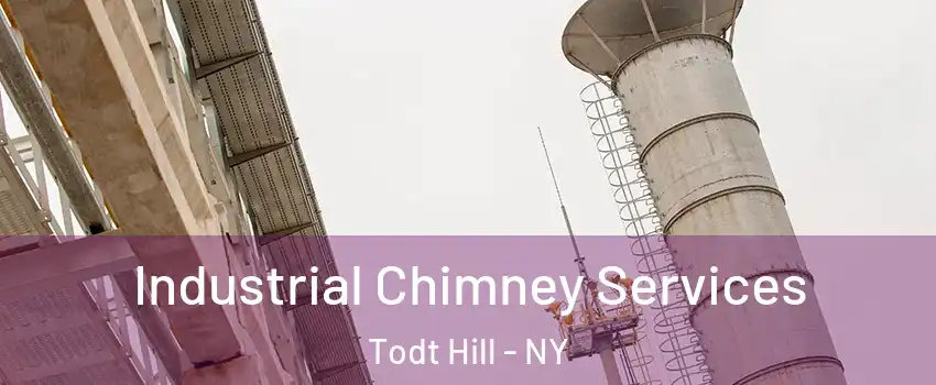 Industrial Chimney Services Todt Hill - NY