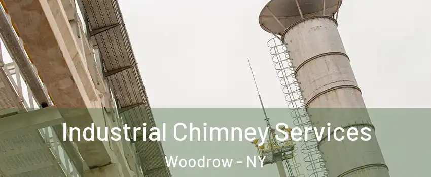 Industrial Chimney Services Woodrow - NY