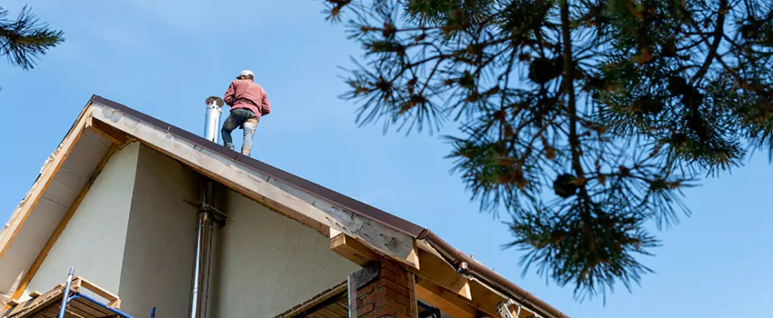 Birds Removal Contractors from Chimney in Port Ivory, NY