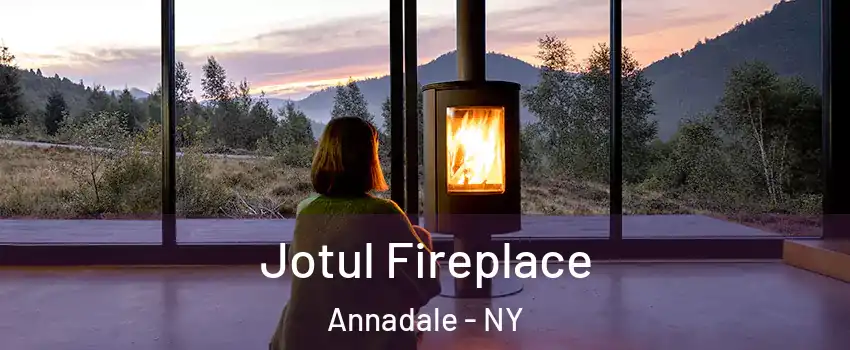 Jotul Fireplace Annadale - NY