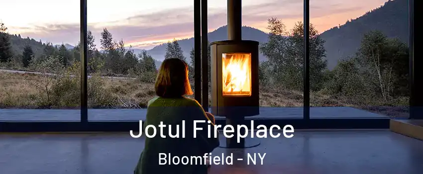 Jotul Fireplace Bloomfield - NY