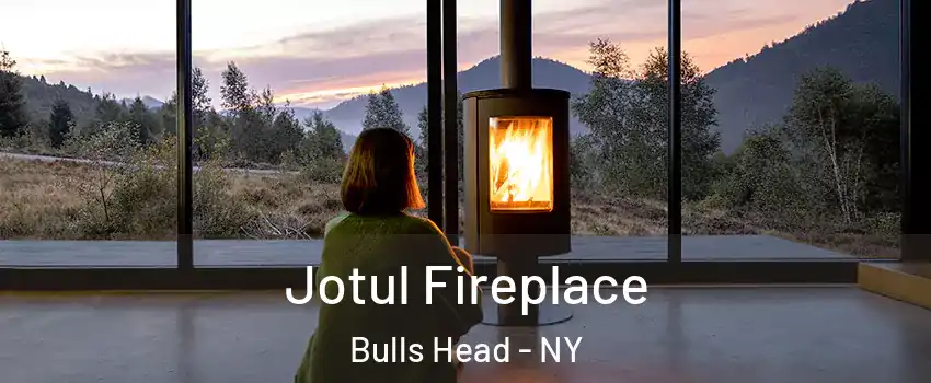 Jotul Fireplace Bulls Head - NY