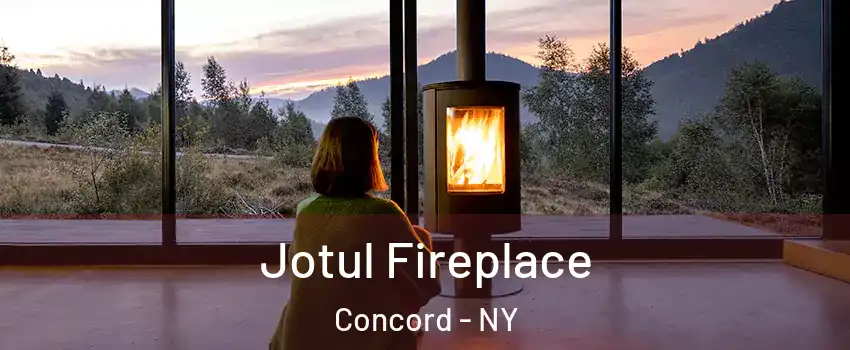 Jotul Fireplace Concord - NY