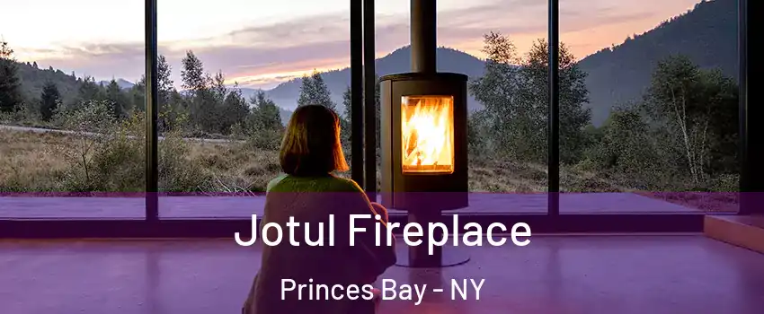 Jotul Fireplace Princes Bay - NY