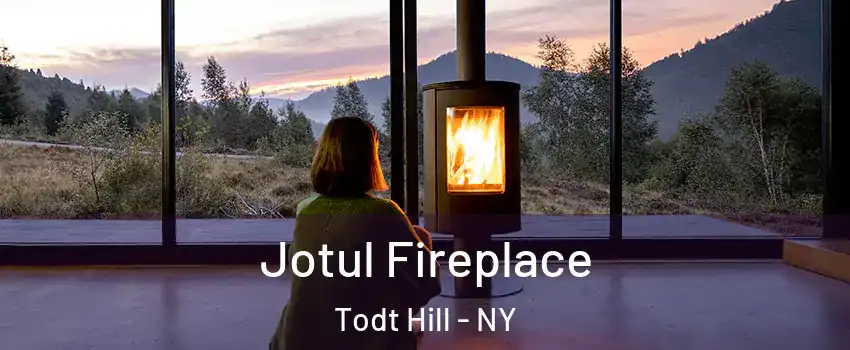 Jotul Fireplace Todt Hill - NY