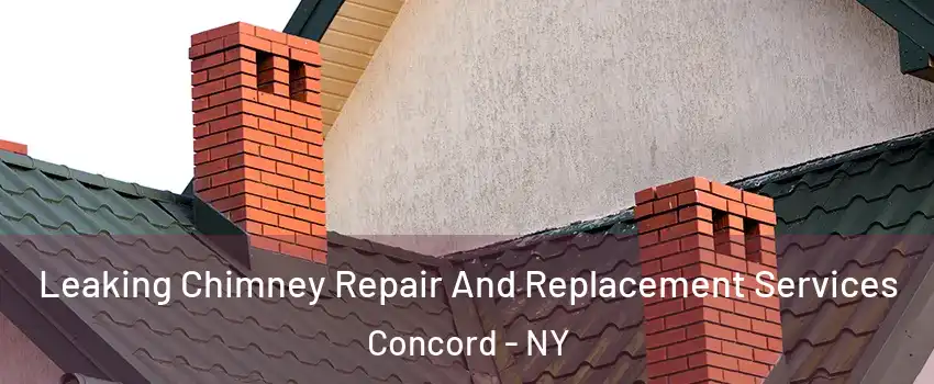 Leaking Chimney Repair And Replacement Services Concord - NY