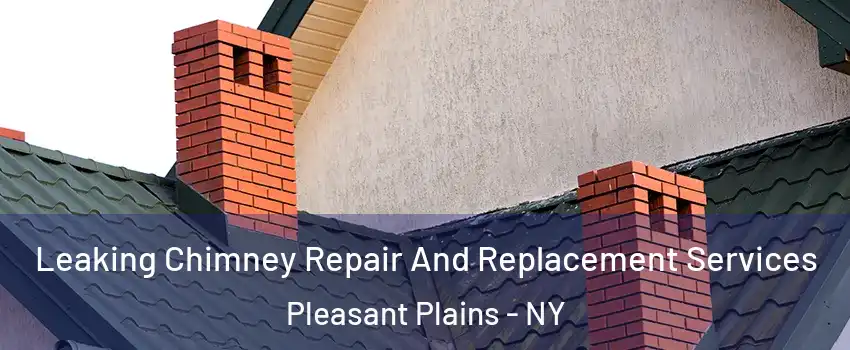 Leaking Chimney Repair And Replacement Services Pleasant Plains - NY