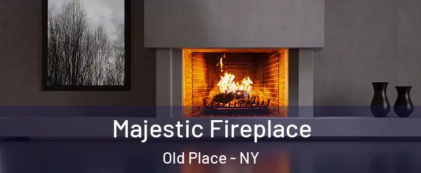 Majestic Fireplace Old Place - NY