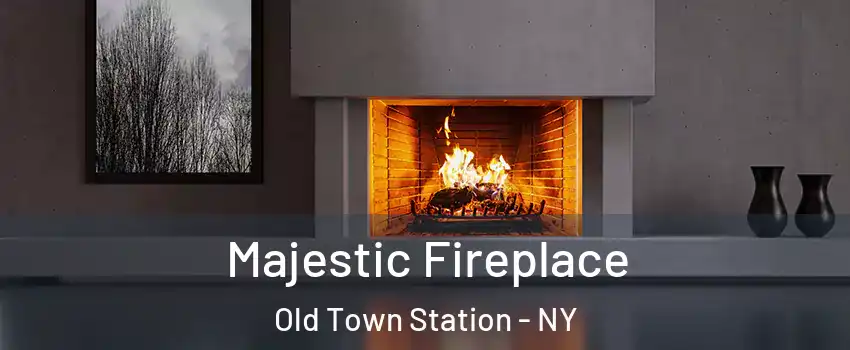 Majestic Fireplace Old Town Station - NY