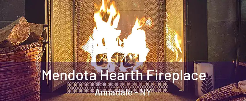 Mendota Hearth Fireplace Annadale - NY