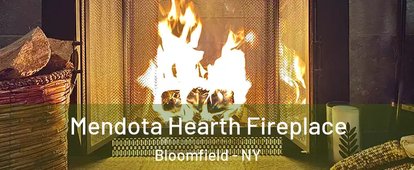 Mendota Hearth Fireplace Bloomfield - NY