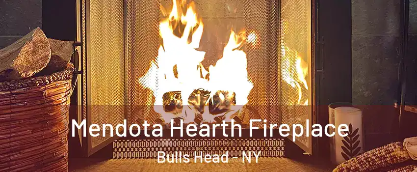 Mendota Hearth Fireplace Bulls Head - NY