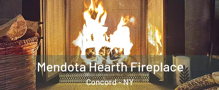 Mendota Hearth Fireplace Concord - NY