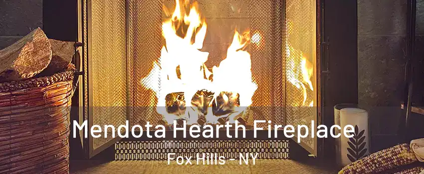 Mendota Hearth Fireplace Fox Hills - NY