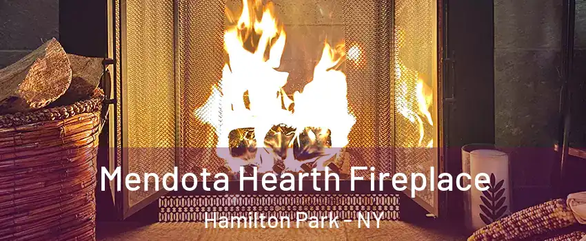 Mendota Hearth Fireplace Hamilton Park - NY