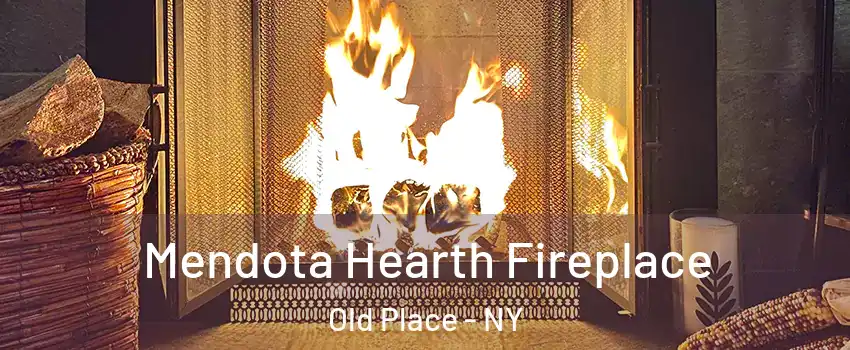 Mendota Hearth Fireplace Old Place - NY