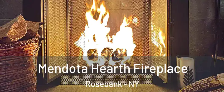 Mendota Hearth Fireplace Rosebank - NY