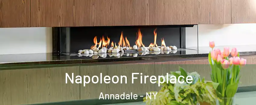 Napoleon Fireplace Annadale - NY