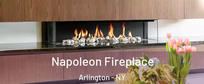 Napoleon Fireplace Arlington - NY