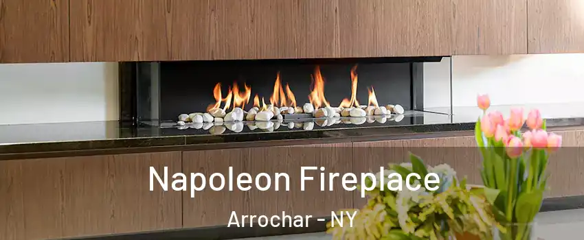 Napoleon Fireplace Arrochar - NY