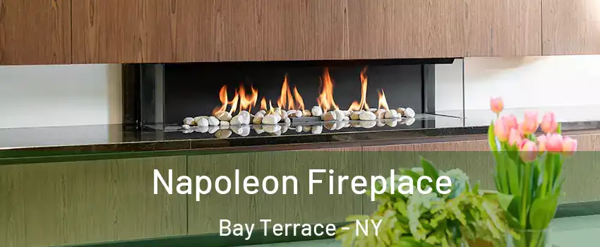 Napoleon Fireplace Bay Terrace - NY